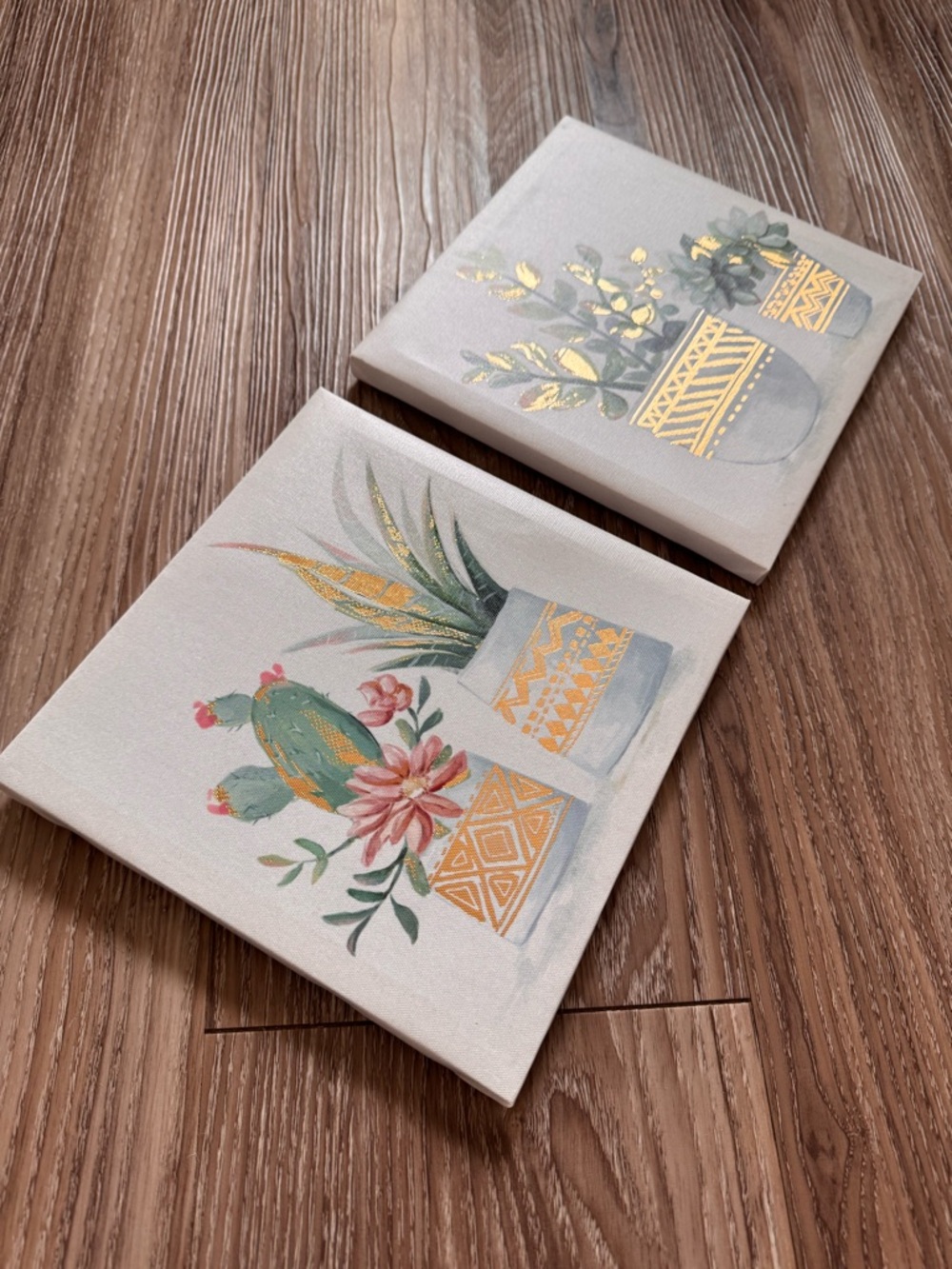 Succulent Plant Art Set - Picture 5 of 13